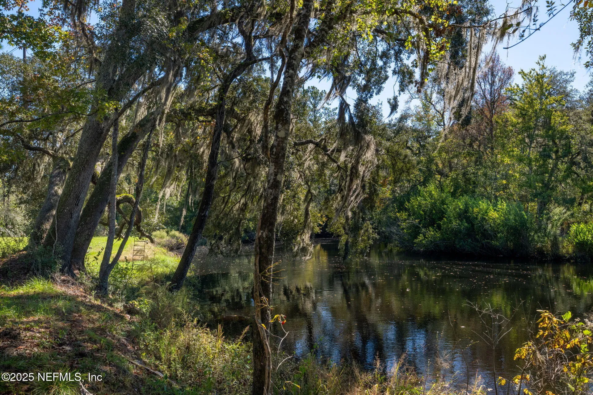 4299 Hawk Haven Road Middleburg FL 32068