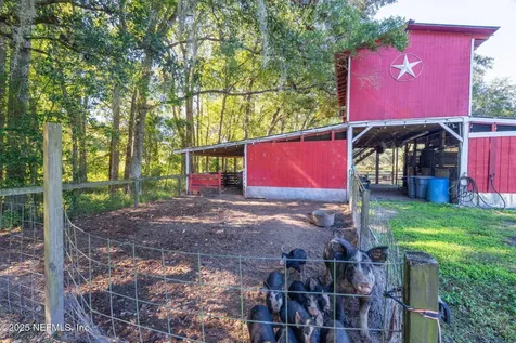 4299 Hawk Haven Road Middleburg FL 32068