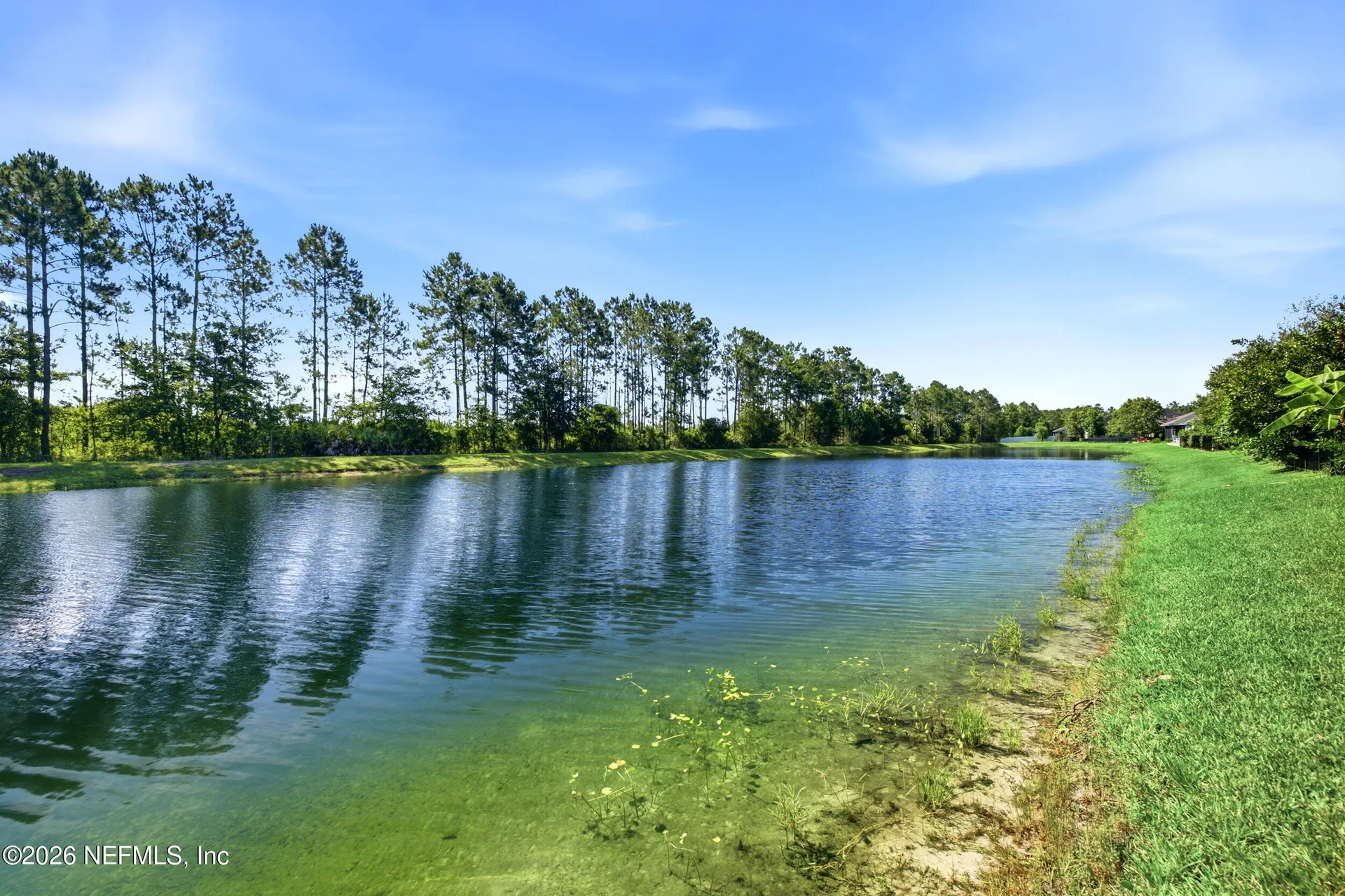 236 Spring Creek Way St. Augustine FL 32095