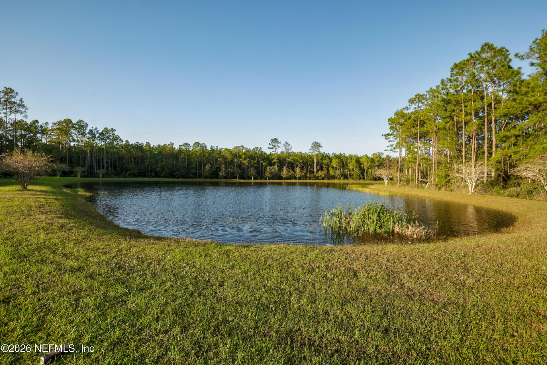 236 Spring Creek Way St. Augustine FL 32095