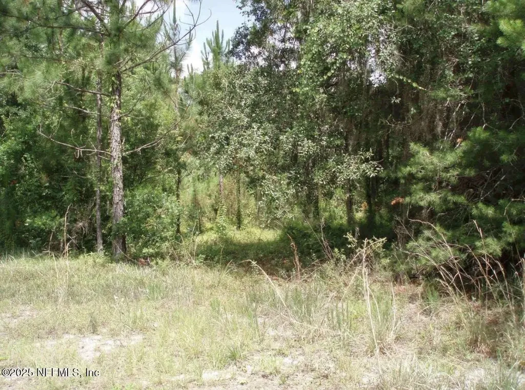 3381 3rd Street Elkton FL 32033