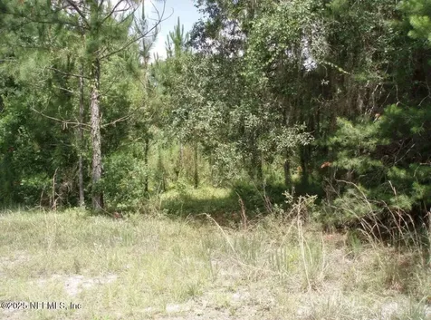 3381 3rd Street Elkton FL 32033