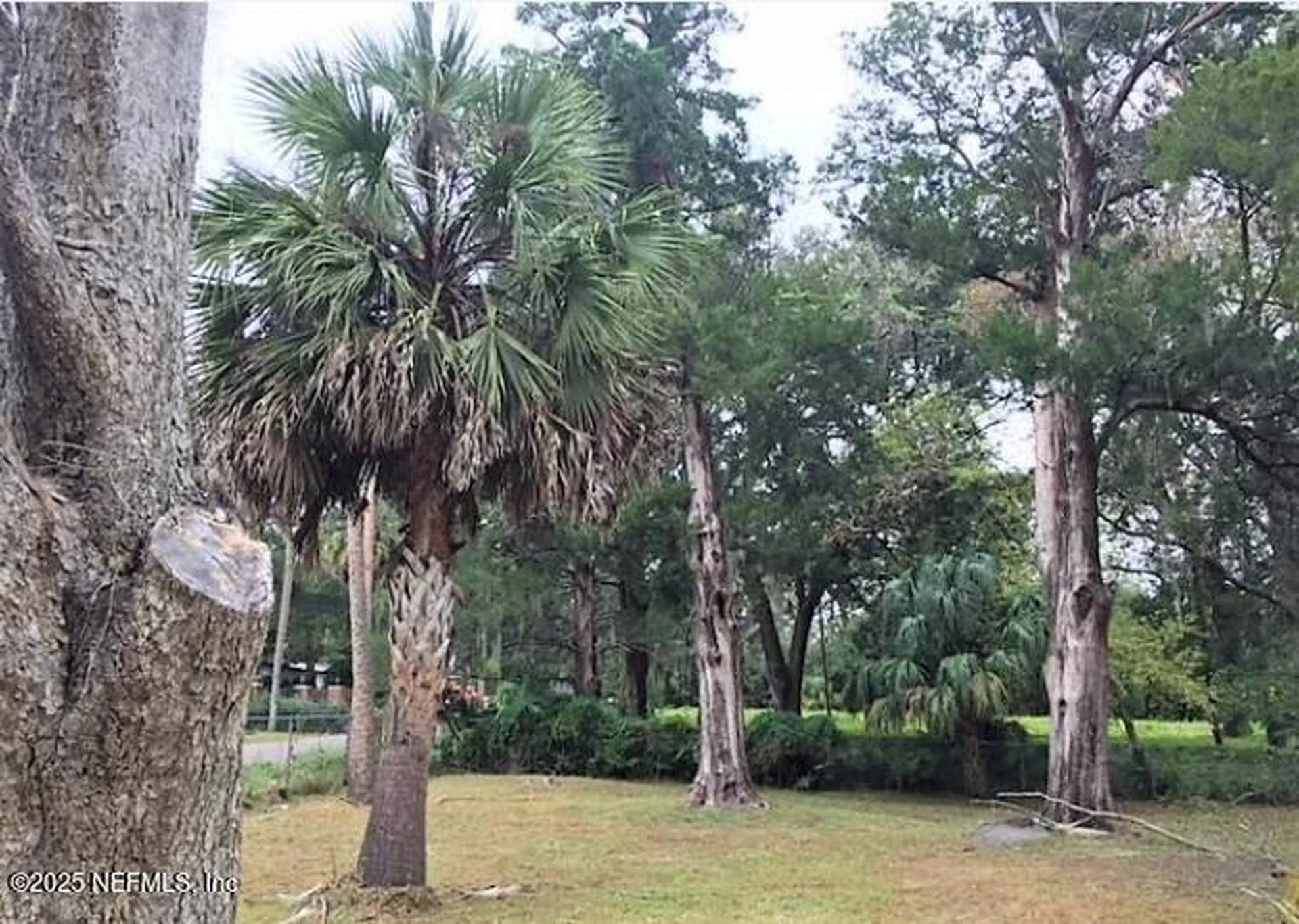 1375 Agnes Street Jacksonville FL 32208