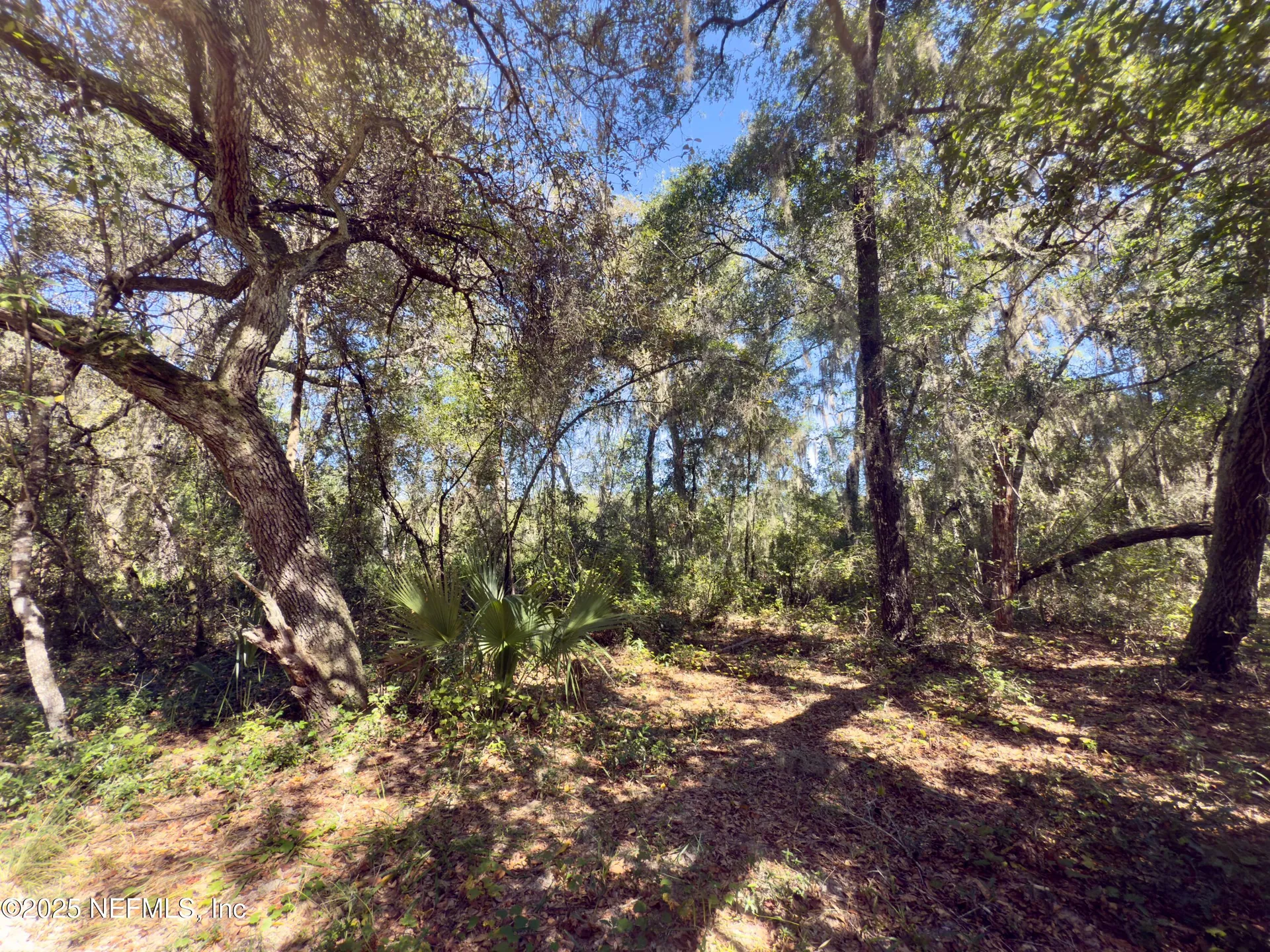 000 S S County Road 315 Interlachen FL 32148