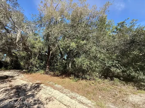 000 S S County Road 315 Interlachen FL 32148