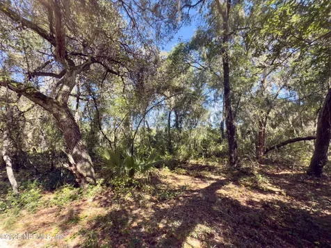 000 S S County Road 315 Interlachen FL 32148