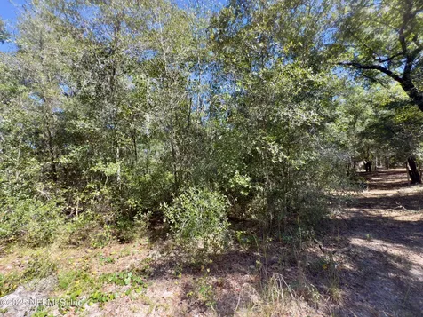 000 S S County Road 315 Interlachen FL 32148