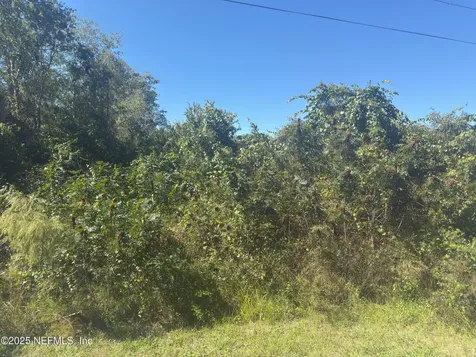000 S S County Road 315 Interlachen FL 32148