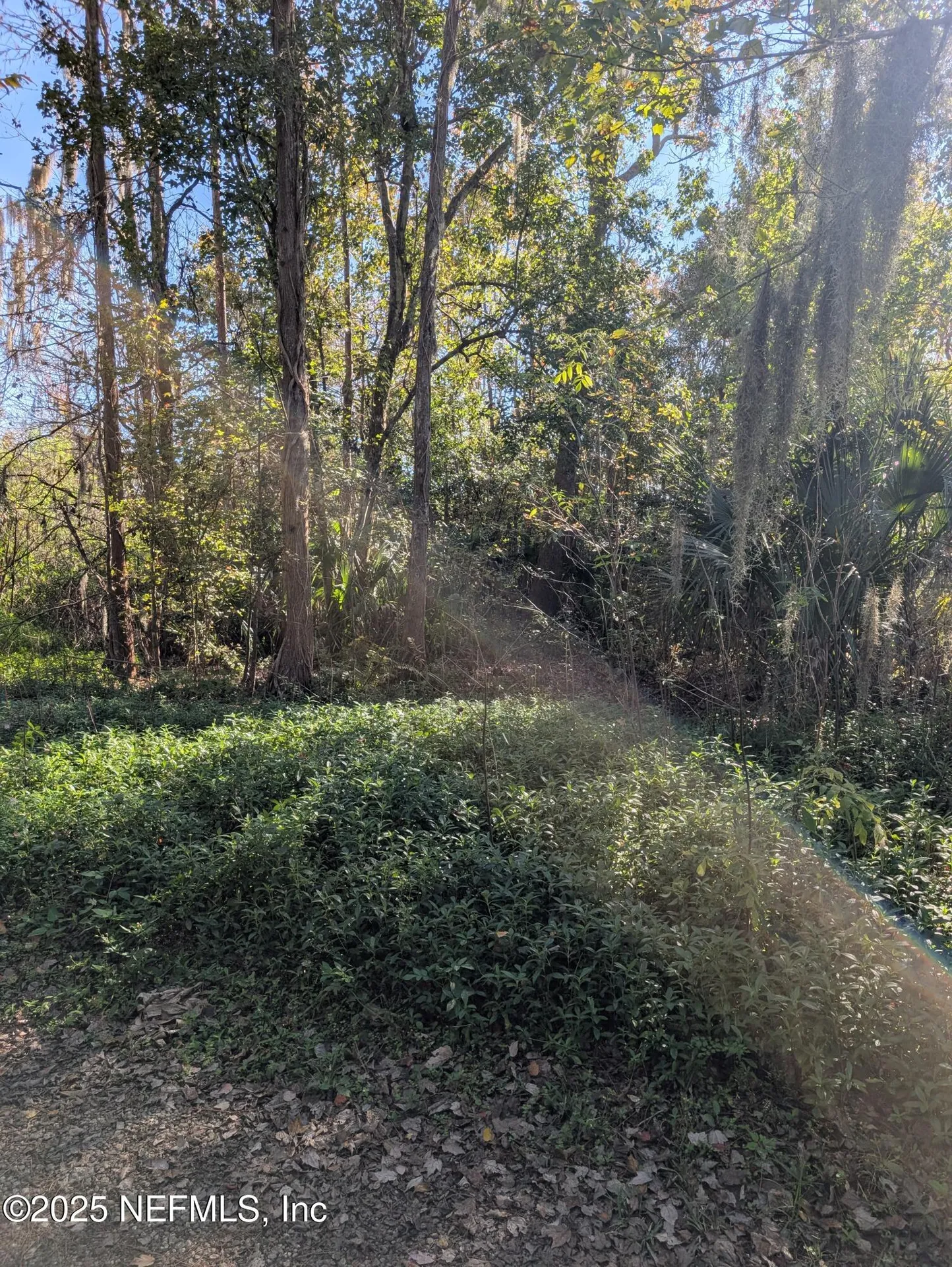 0 Cortez Road Jacksonville FL 32246