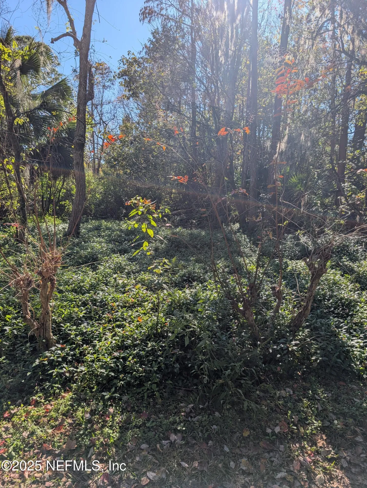 0 Cortez Road Jacksonville FL 32246