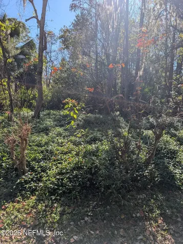 0 Cortez Road Jacksonville FL 32246