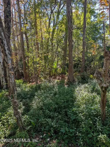 0 Cortez Road Jacksonville FL 32246