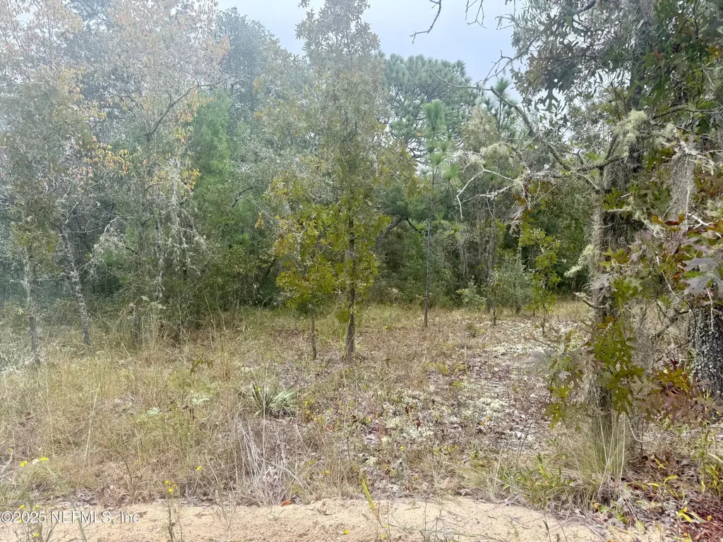 118 Geneve Street Interlachen FL 32148