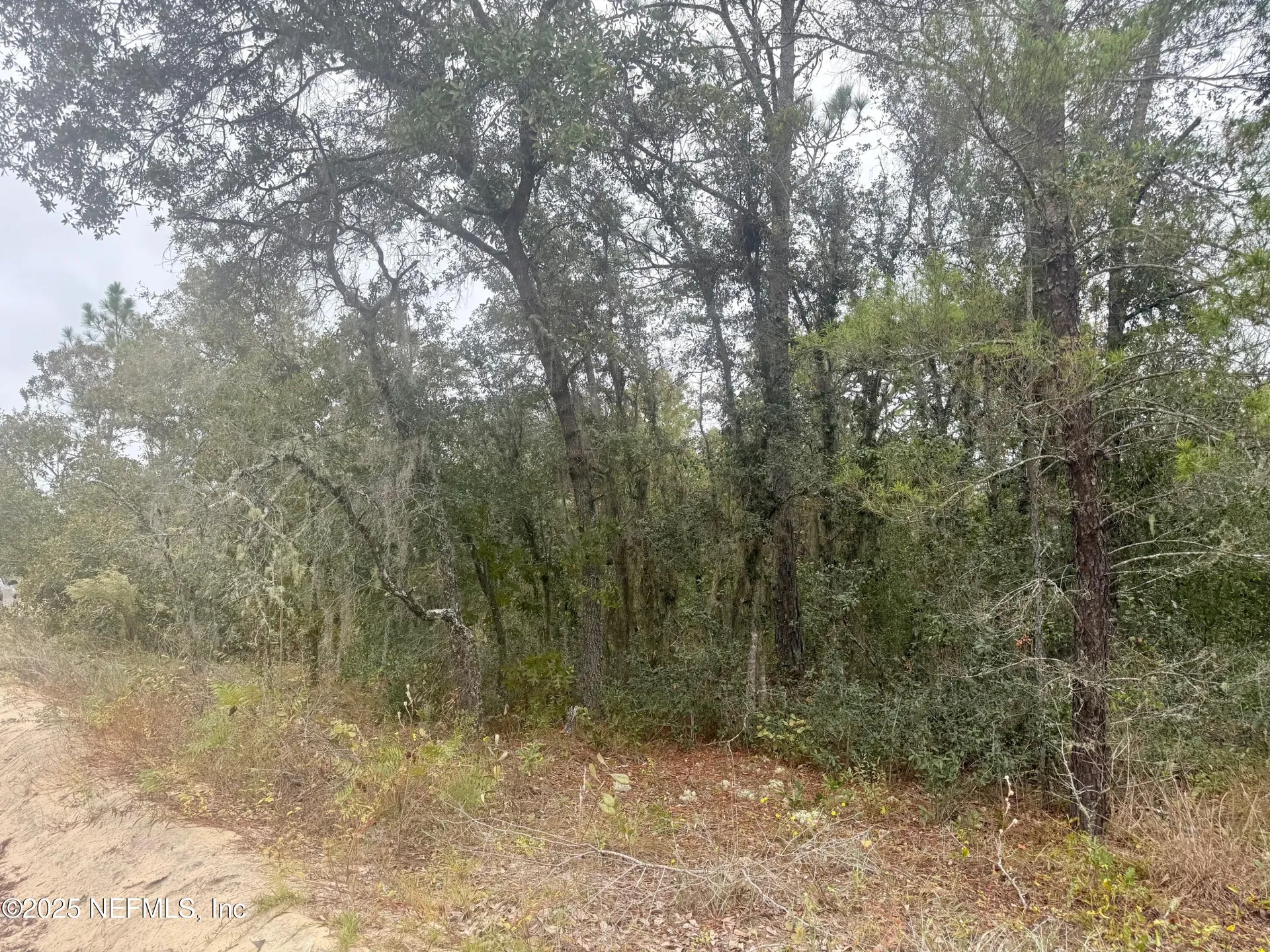 118 Geneve Street Interlachen FL 32148