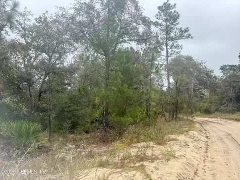118 Geneve Street Interlachen FL 32148