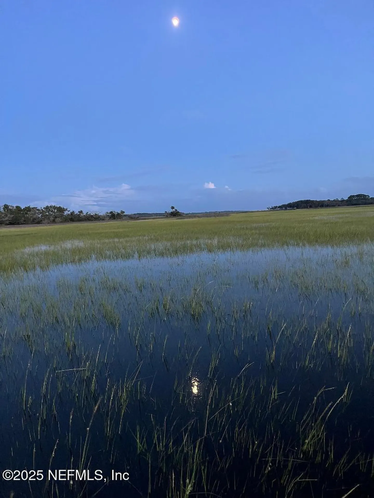 333 Stokes Creek Drive St. Augustine FL 32095