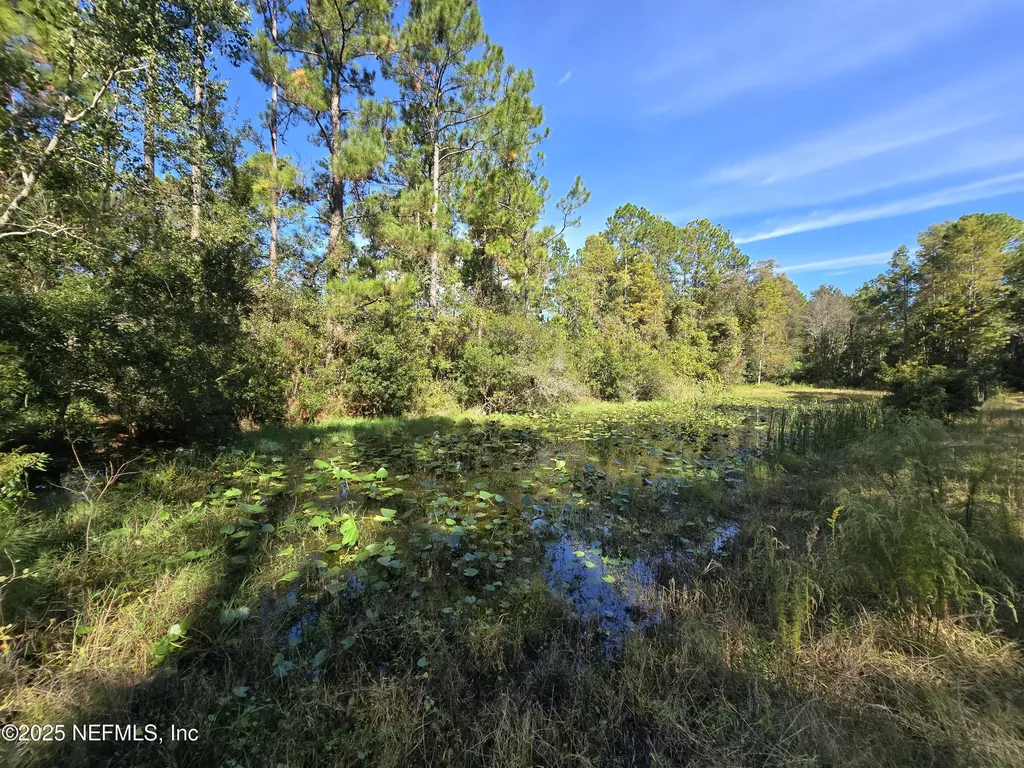 3163 Lannie Road Jacksonville FL 32218