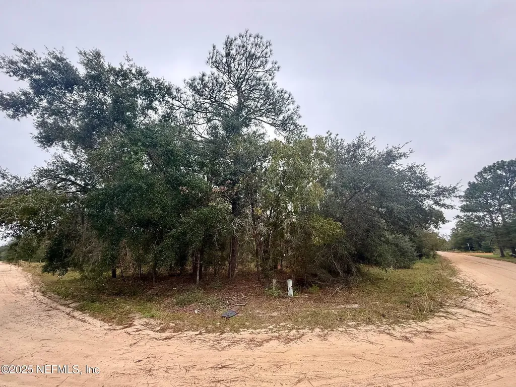 500 Georgette Street Interlachen FL 32148