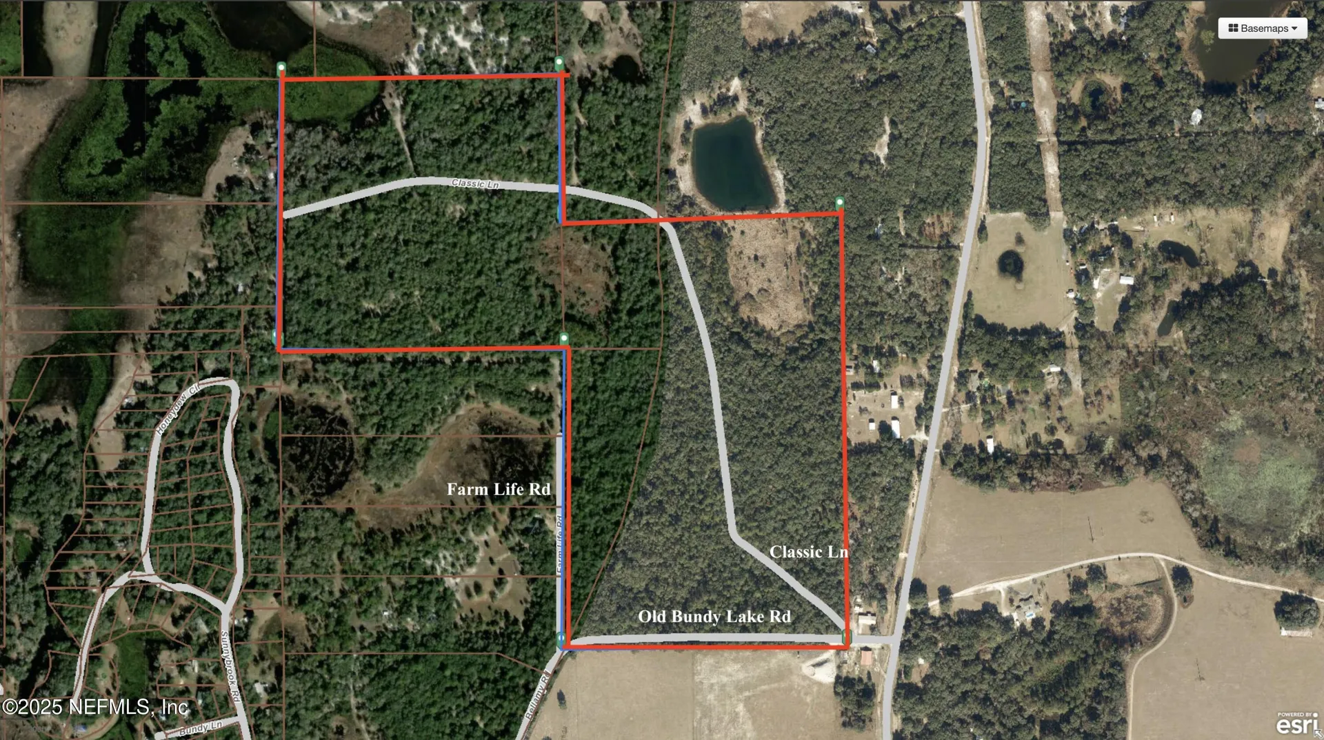 0 Old Bundy Lake Road Melrose FL 32666