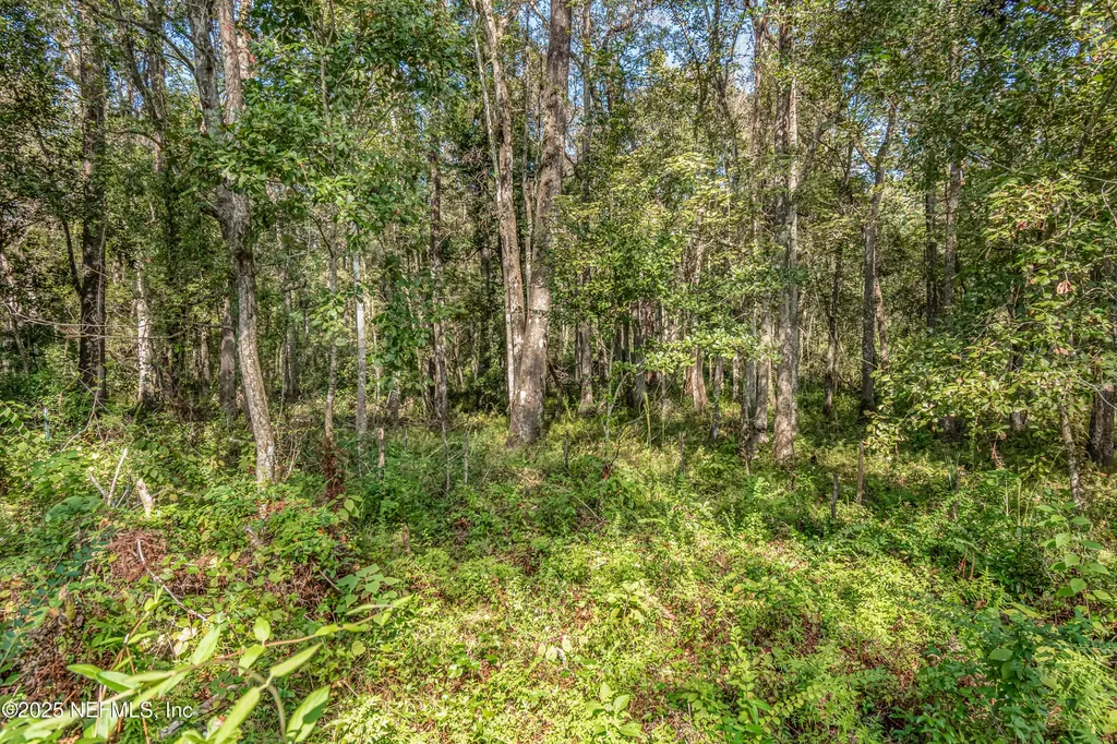 5577 Myrtle Road Macclenny FL 32063