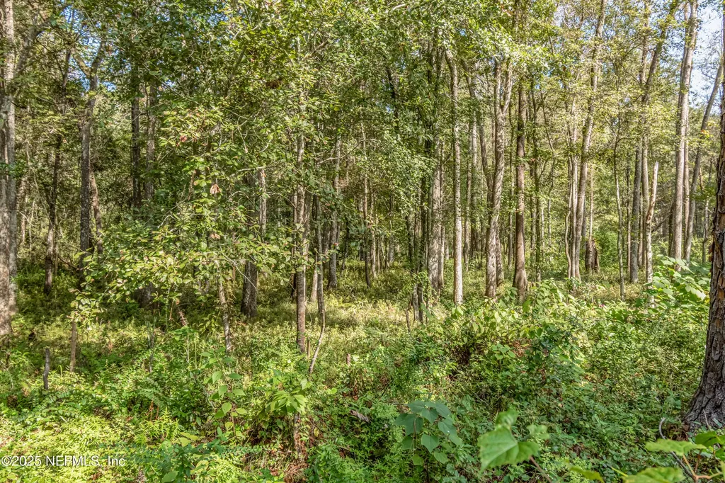 5577 Myrtle Road Macclenny FL 32063