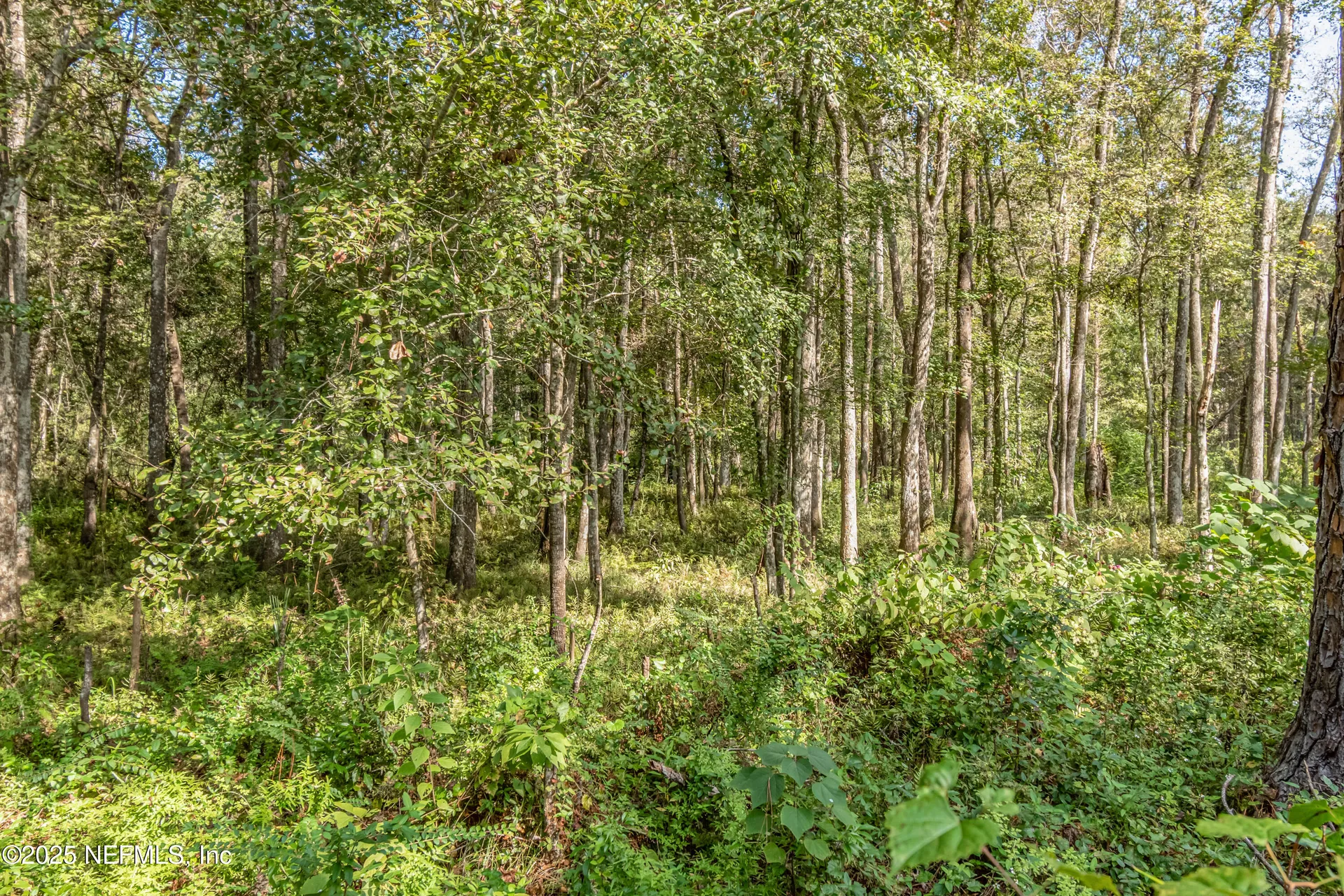 5577 Myrtle Road Macclenny FL 32063