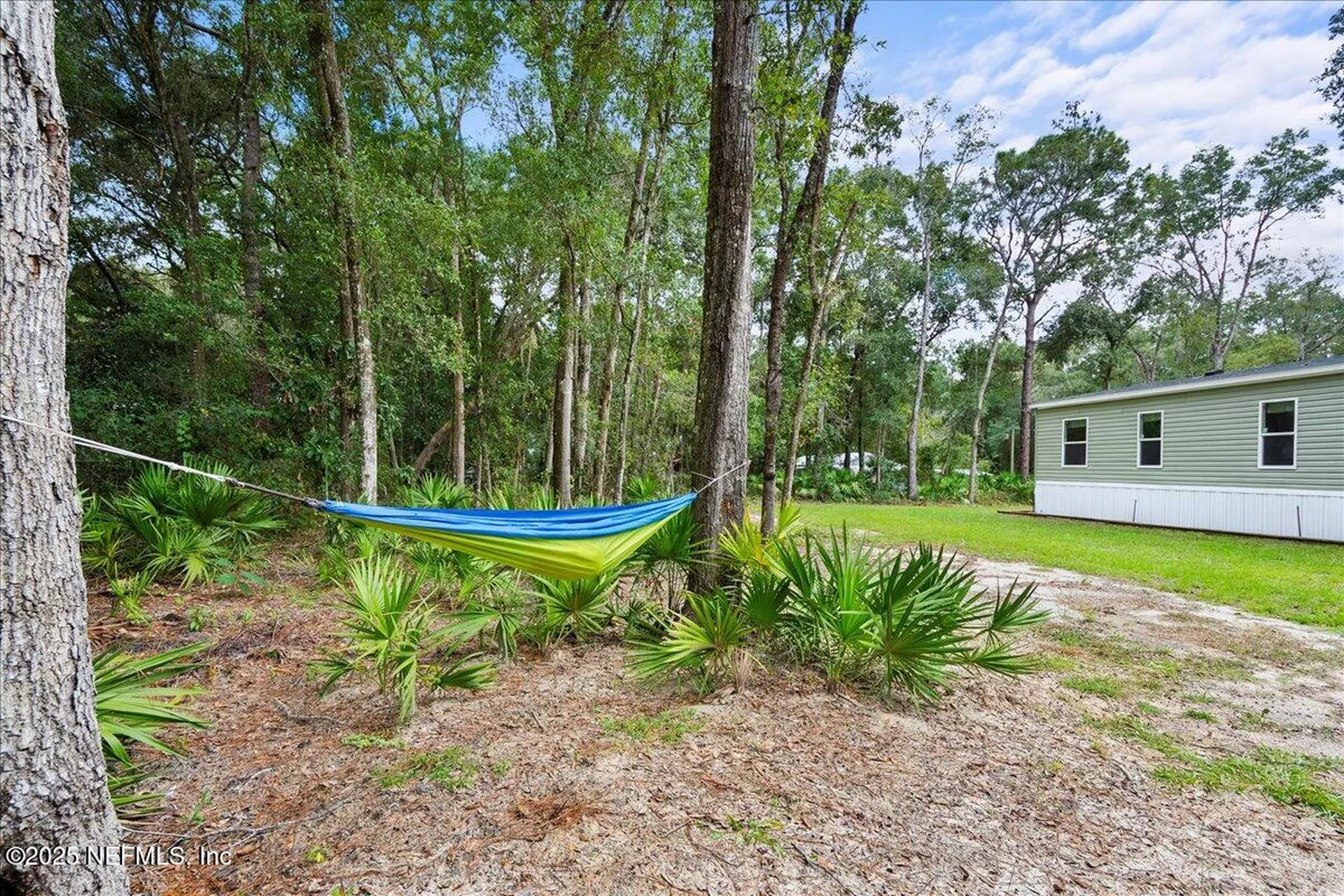 1134 Brewster's Cove Green Cove Springs FL 32043