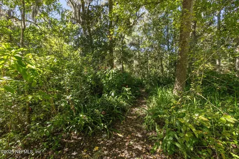 12868 Mead Landing Court Jacksonville FL 32223