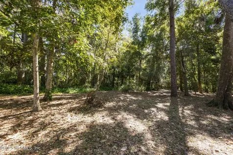 12868 Mead Landing Court Jacksonville FL 32223