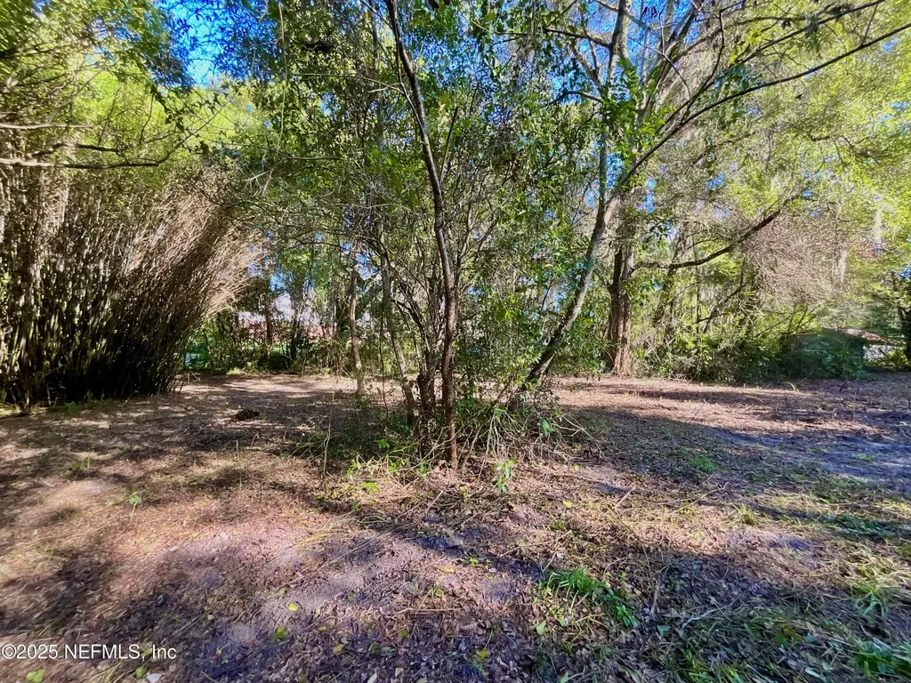 Lot 18 Trout Street Melrose FL 32666