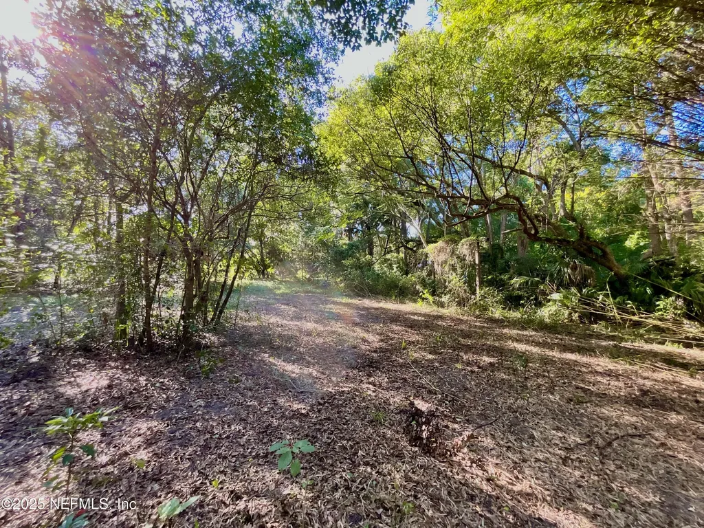 Lot 18 Trout Street Melrose FL 32666