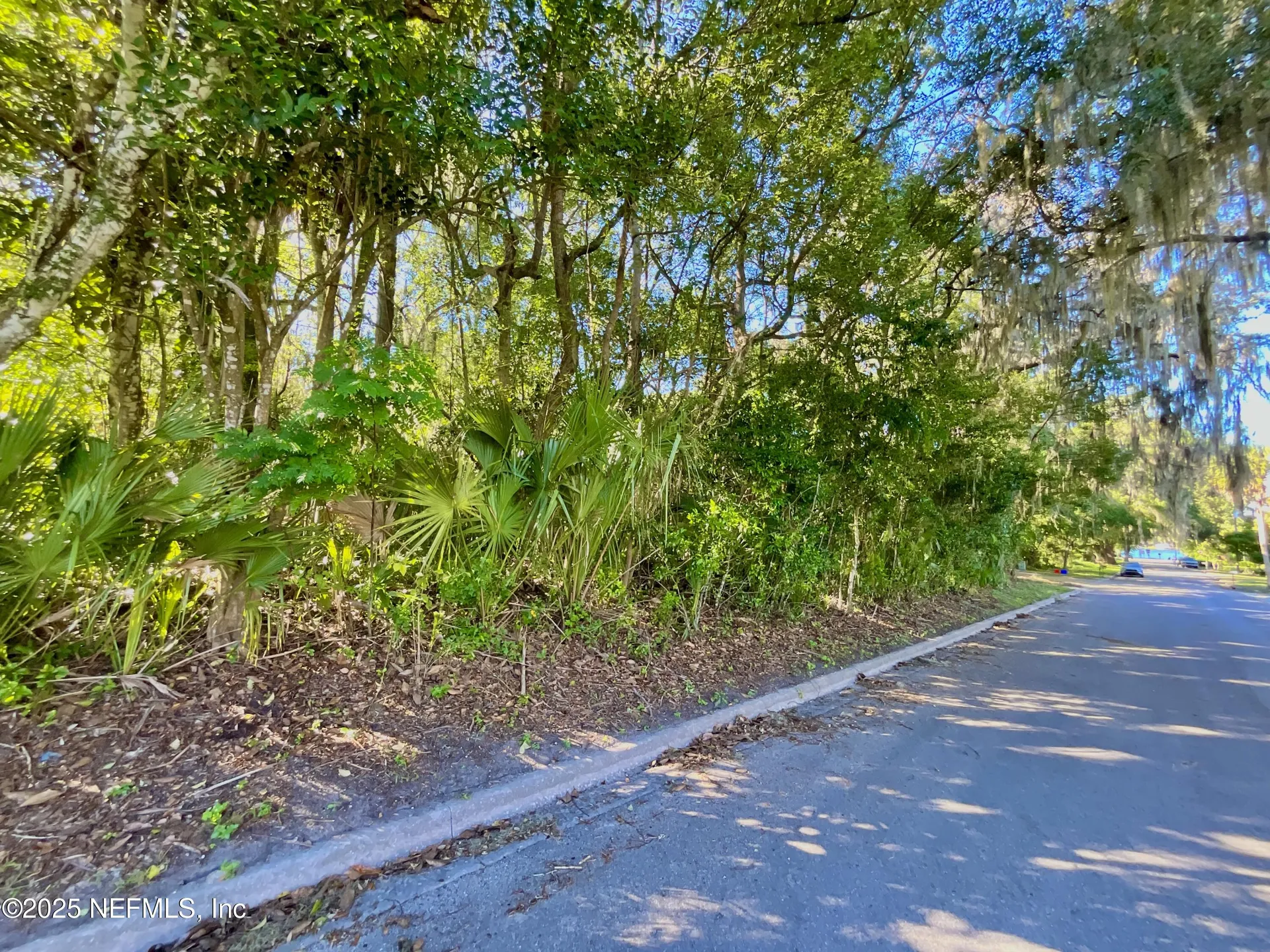 Lot 18 Trout Street Melrose FL 32666