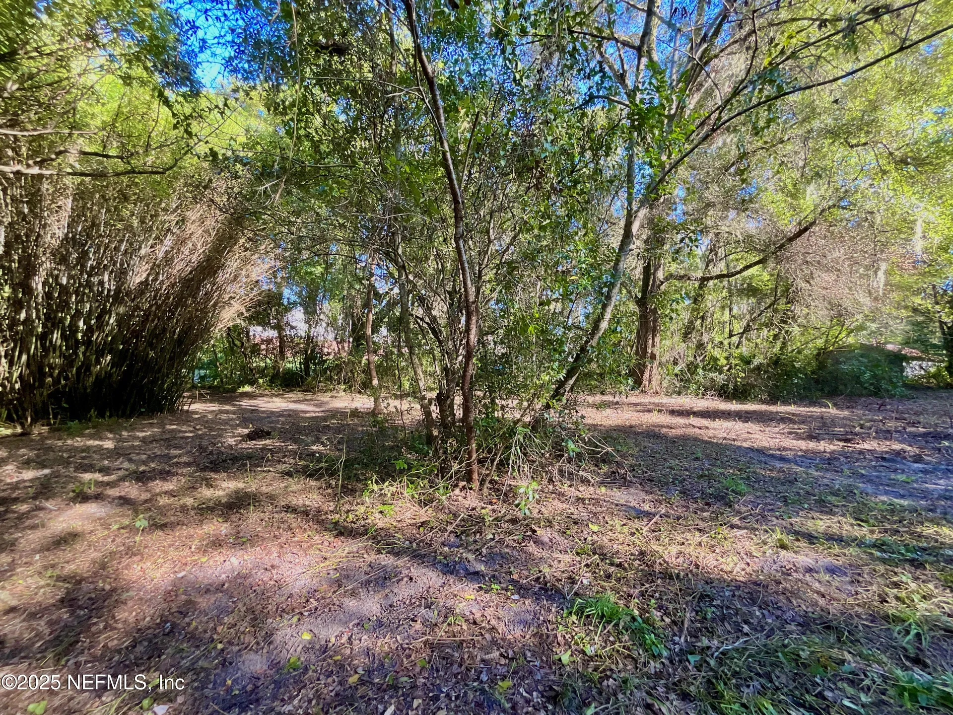 Lot 18 Trout Street Melrose FL 32666