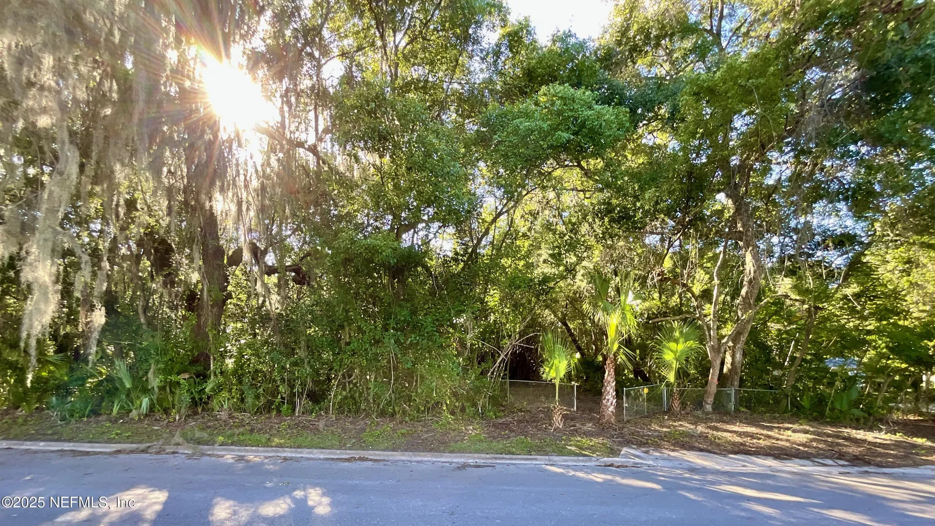 Lot 18 Trout Street Melrose FL 32666