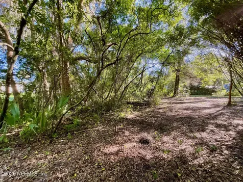 Lot 18 Trout Street Melrose FL 32666