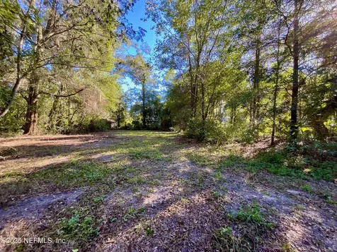 Lot 18 Trout Street Melrose FL 32666