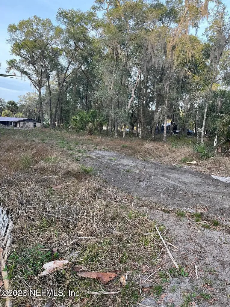 1020 Elm Street Welaka FL 32193