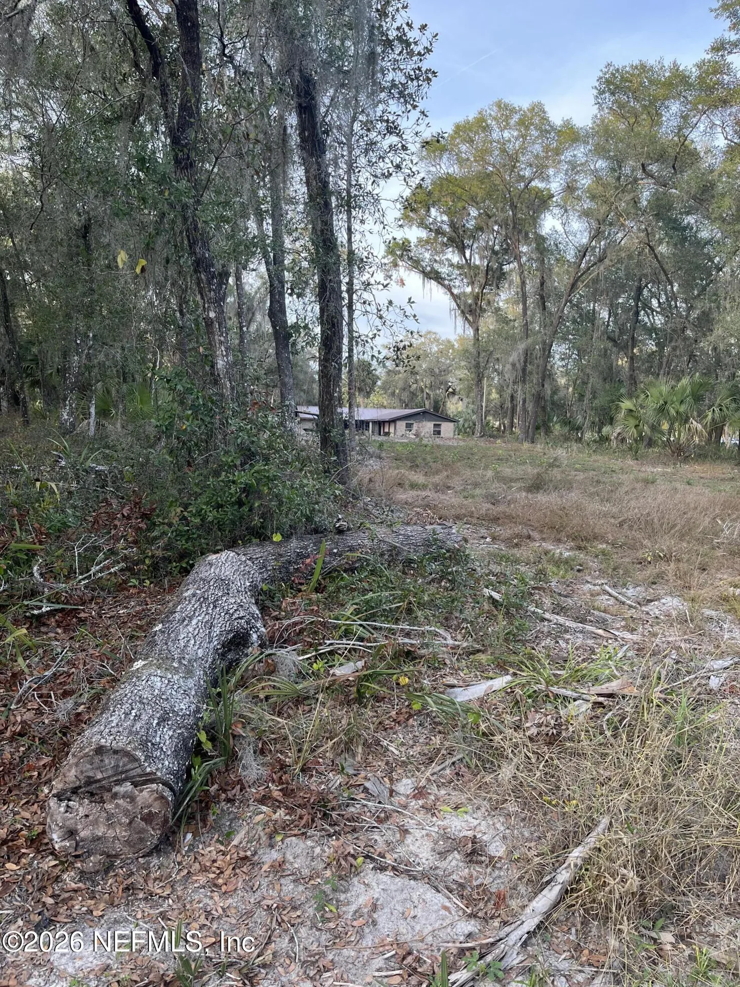 1020 Elm Street Welaka FL 32193