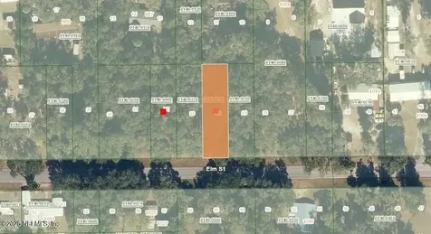 1020 Elm Street Welaka FL 32193