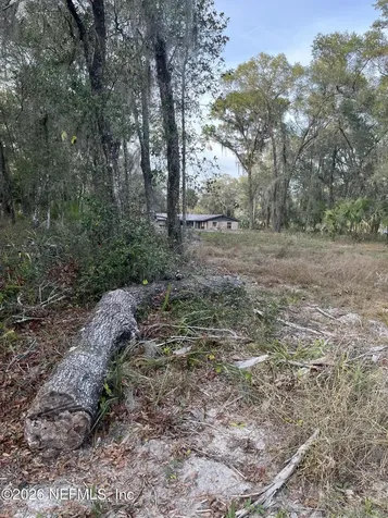 1020 Elm Street Welaka FL 32193