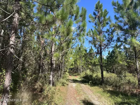 565 SW Daisy Road Lake City FL 32024