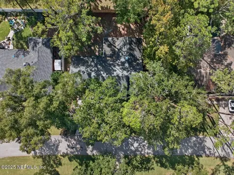440 Segovia Drive Fleming Island FL 32003