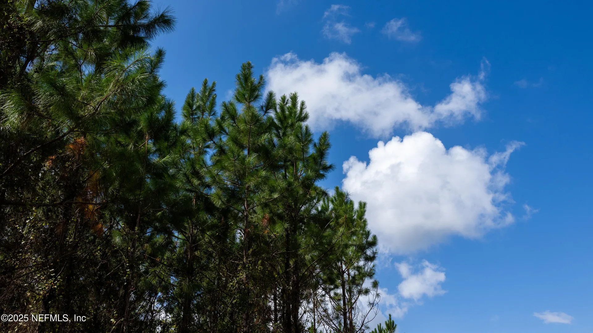 Lot 5 SW County Road 225 Starke FL 32091