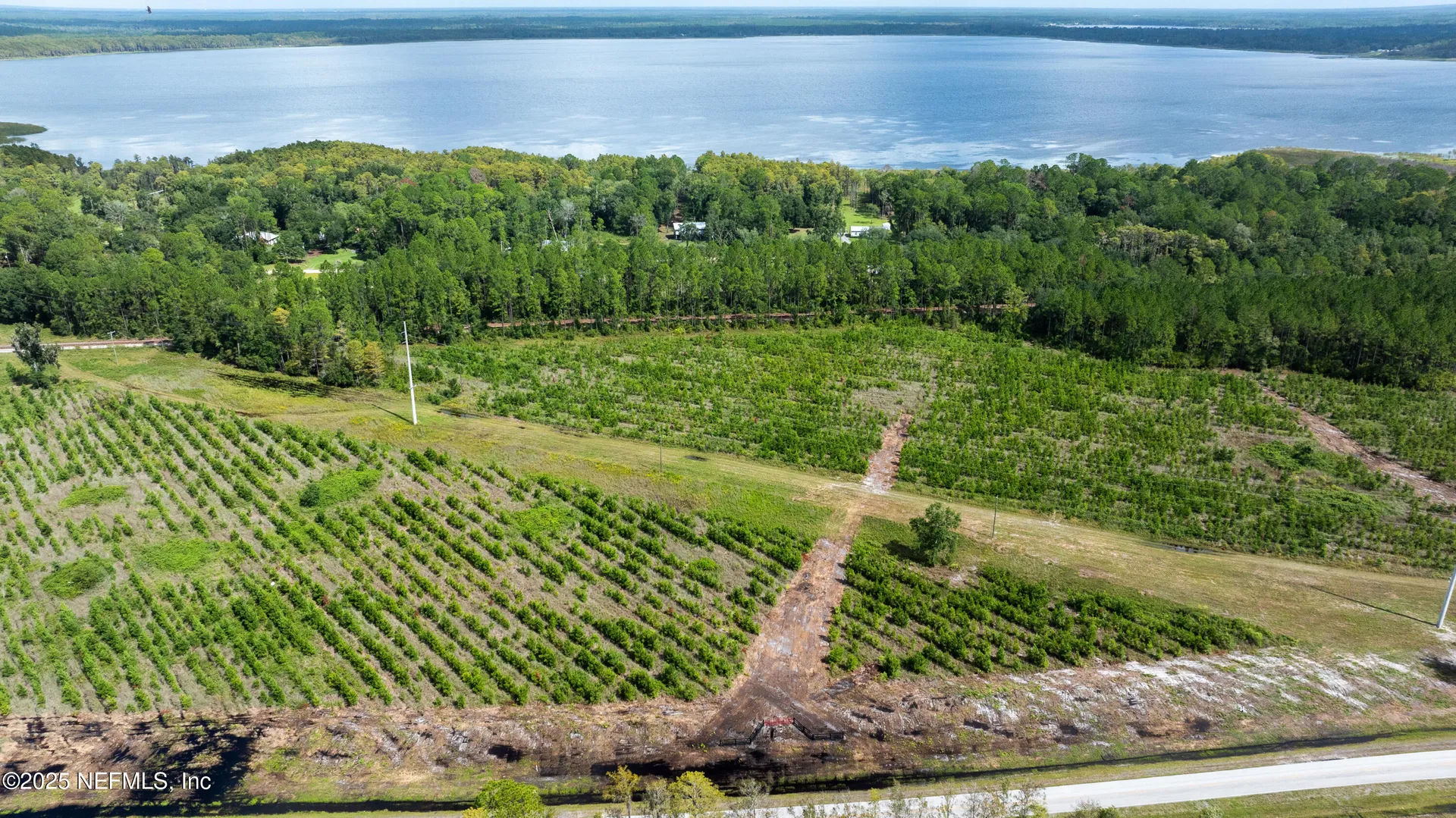 Lot 8 SW County Road 225 Starke FL 32091