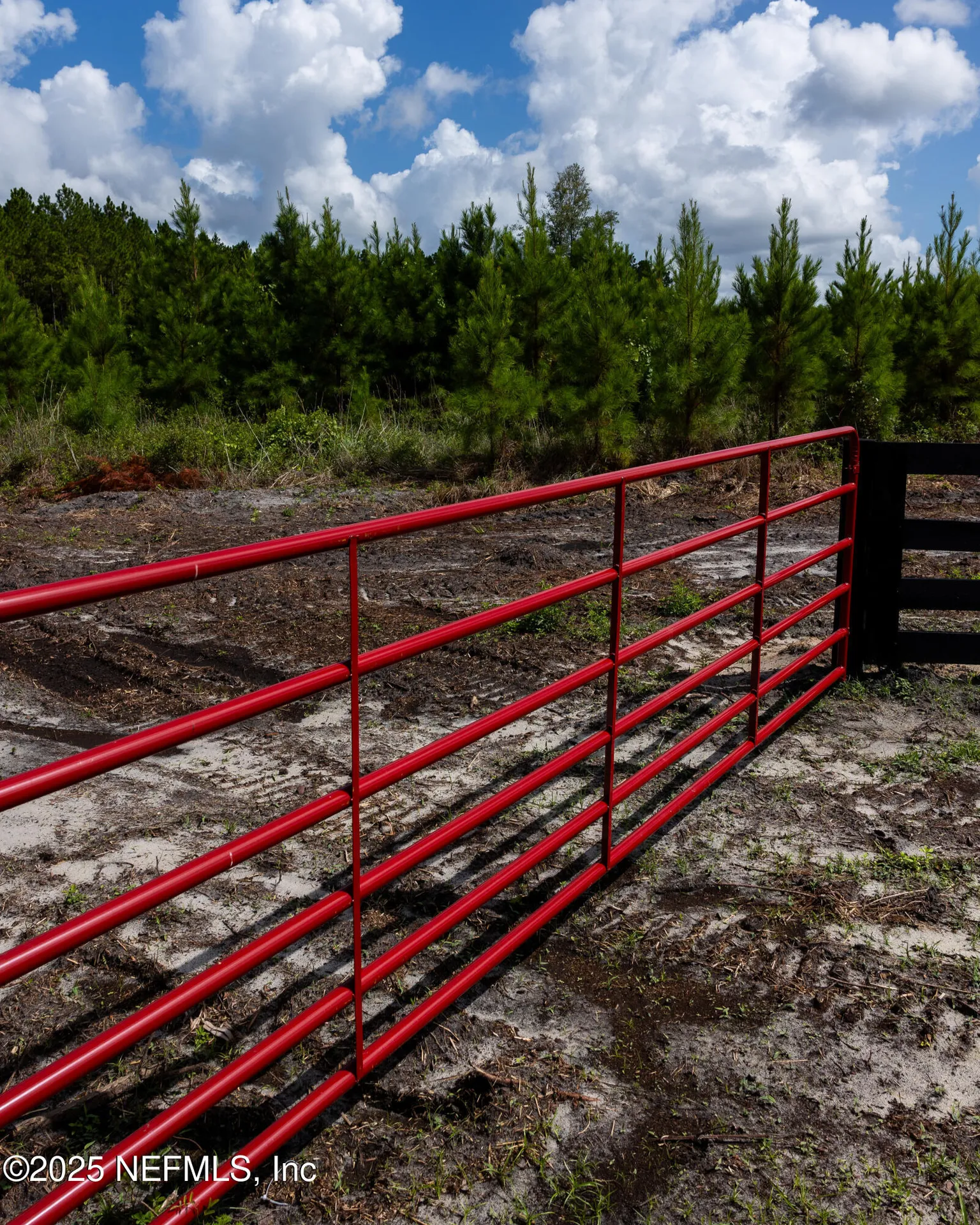 Lot 11 SW County Road 225 Starke FL 32091