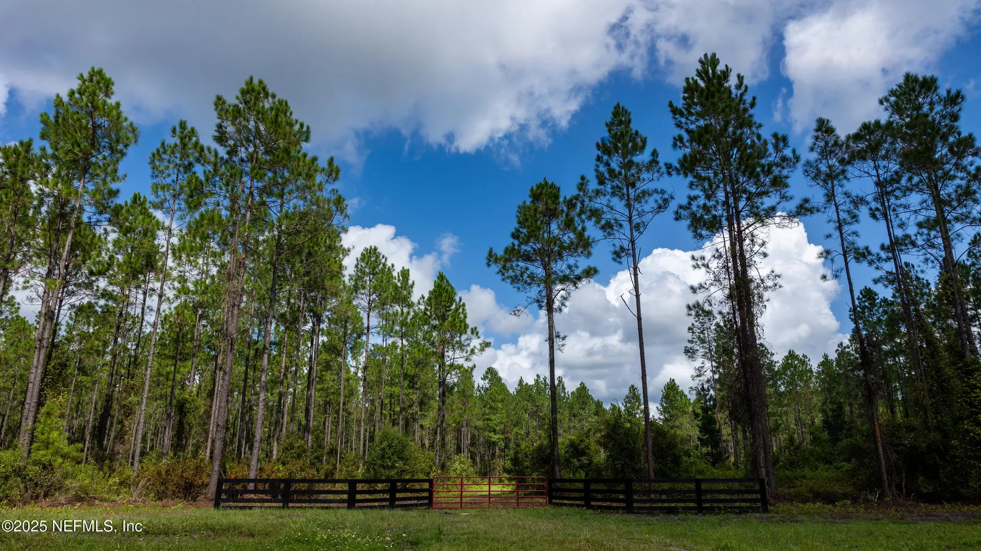 Lot 11 SW County Road 225 Starke FL 32091