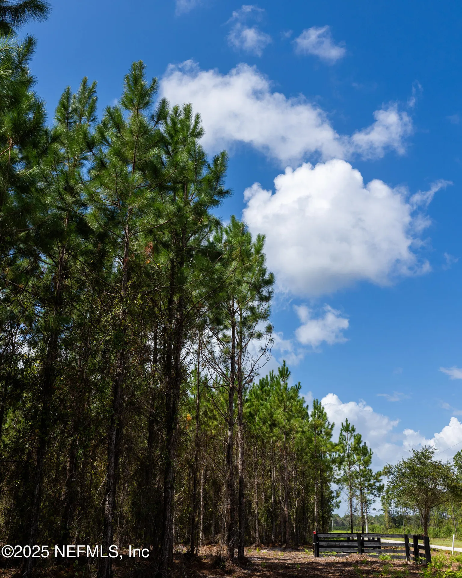 Lot 12 SW County Road 225 Starke FL 32091