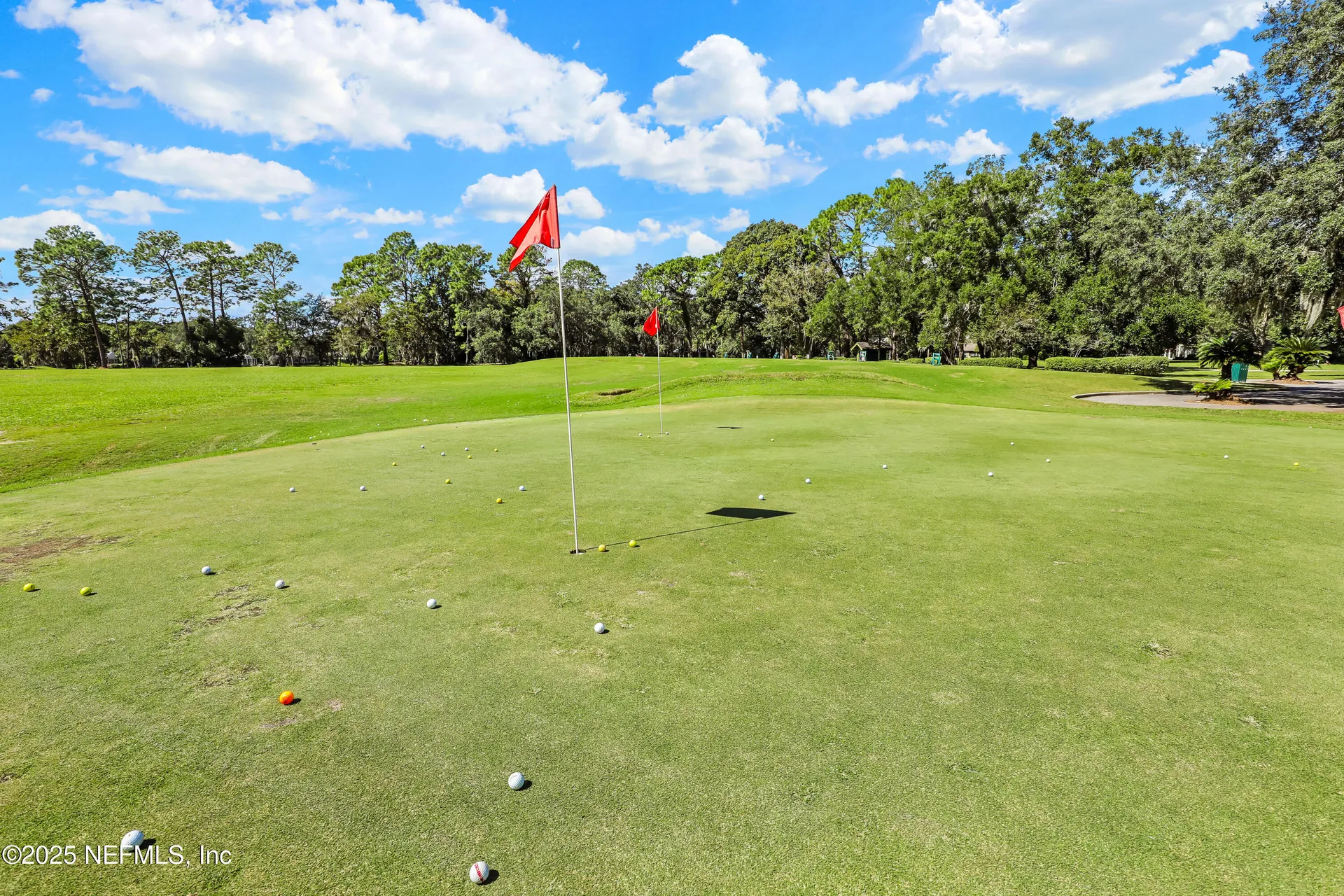 3520 Oglebay Drive Green Cove Springs FL 32043