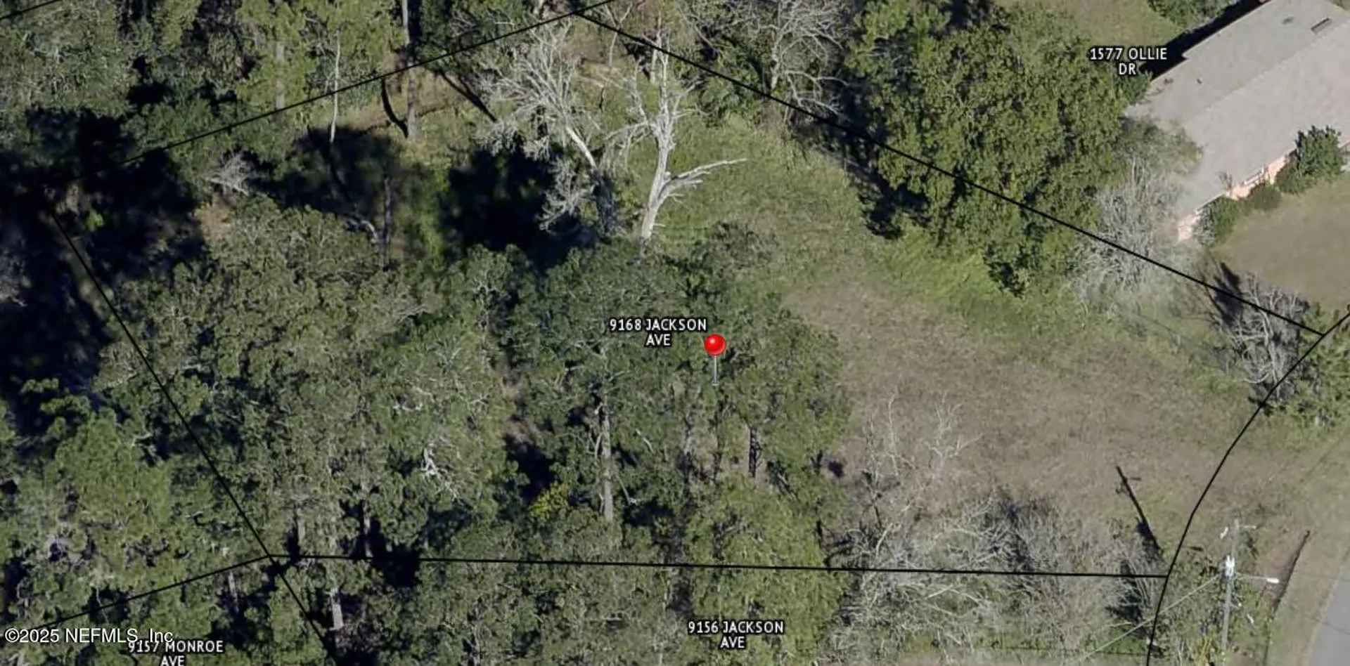 9168 Jackson Avenue Jacksonville FL 32208