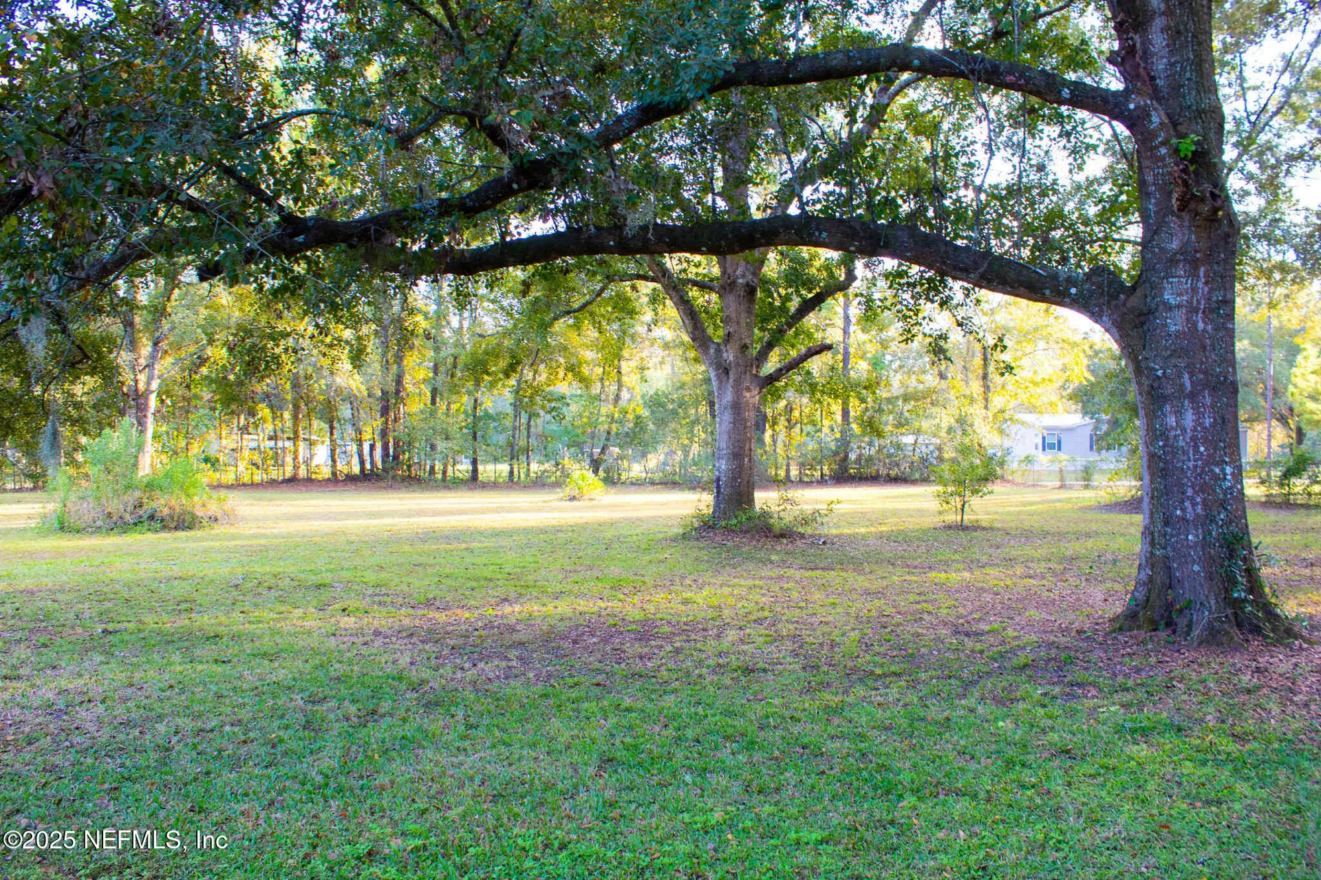 540 Meadowbrook Farms Road Green Cove Springs FL 32043